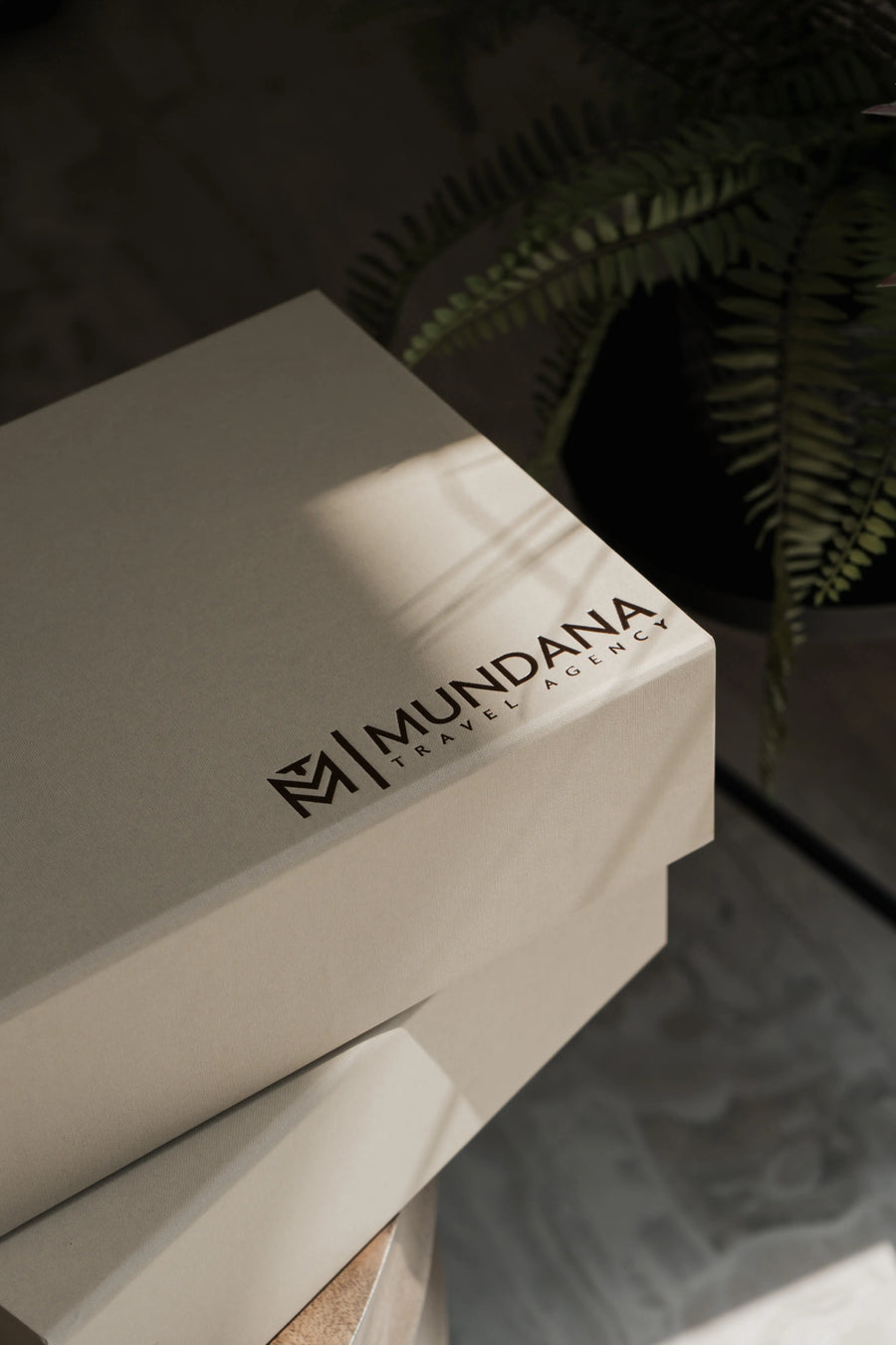 Cajas Personalizadas